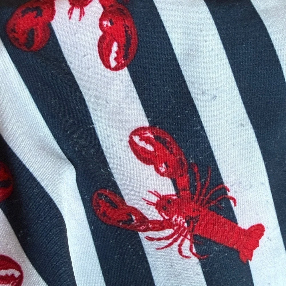 Wonder Nation boys XL striped lobster swim trunks